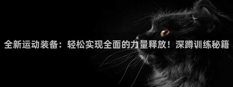 九游体育官网下载平台注册流程图：全新运动装备：轻松实现全面的