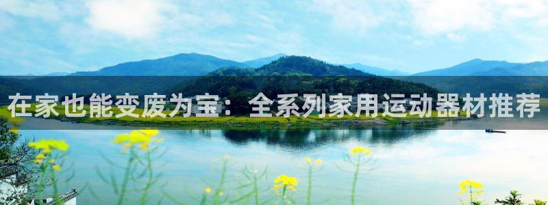 九游体育官方正版app新能源：在家也能变废为宝：全系列家用运