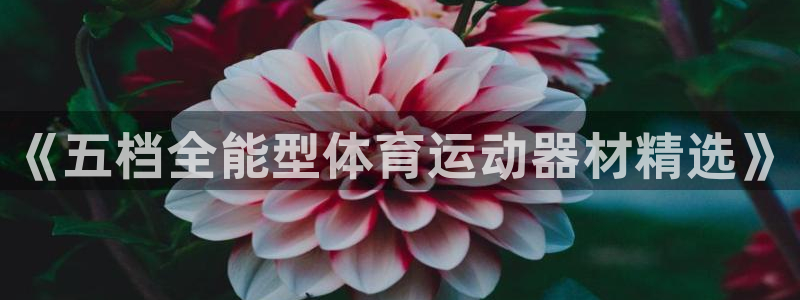 九游体育官网下载平台：《五档全能型体育运动器材精选》