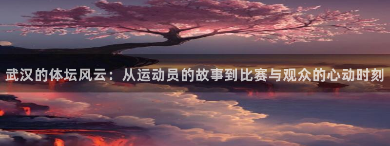 米兰体育场：武汉的体坛风云：从运动员的故事到比赛与观众的心动时刻