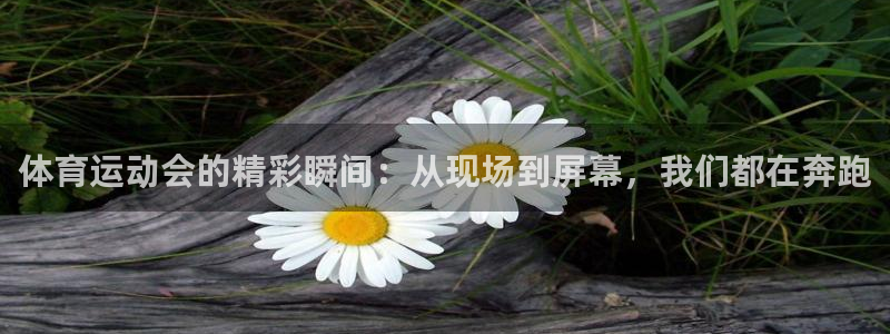 米兰体育中心：体育运动会的精彩瞬间：从现场到屏幕，我们都在奔跑