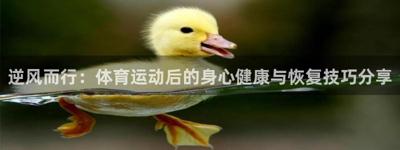 米兰体育网站：逆风而行：体育运动后的身心健康与恢复技巧分享