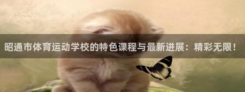 米兰体育app下载：昭通市体育运动学校的特色课程与最新进展：精彩无限！