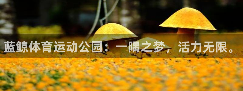 米兰体育官方下载入口：蓝鲸体育运动公园：一隅之梦，活力无限。
