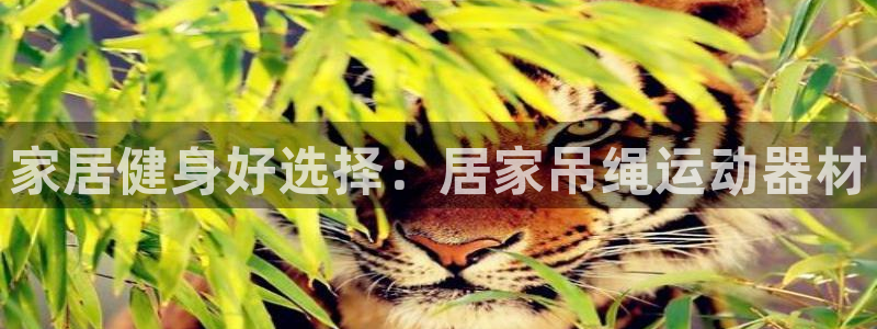 九游体育官方正版app官方：家居健身好选择：居家吊绳