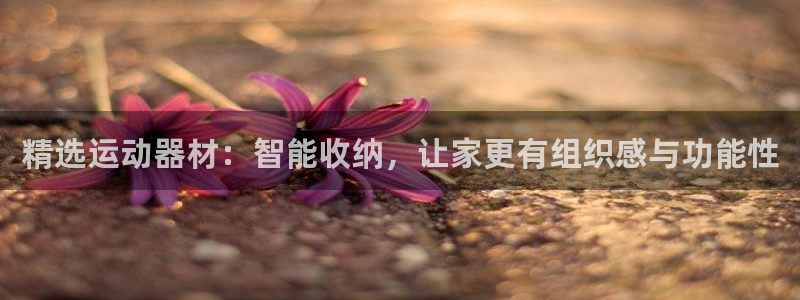 九游体育官网下载平台注册流程图