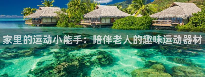 德国九游体育官方正版app集团：家里的运动小能手：陪伴老人的