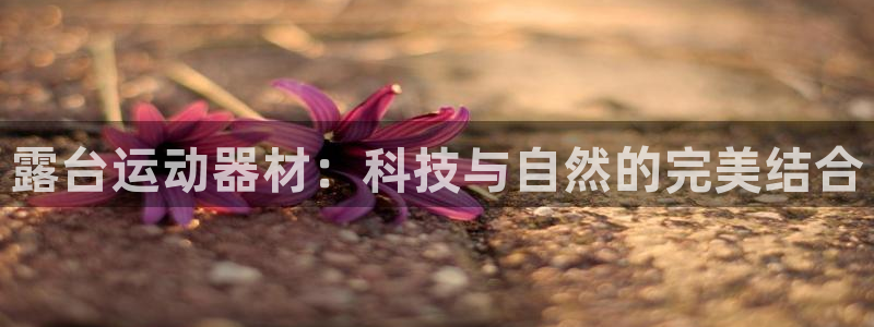 九游体育官网下载招商电话地址是多少