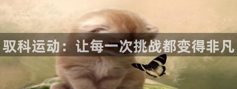 九游体育官网下载招商电话号码：驭科运动：让每一次挑战都变得非