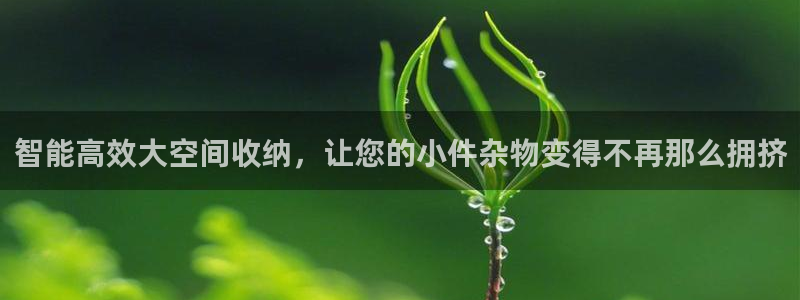 九游体育官方正版app科技：智能高效大空间收纳，让您的小件杂